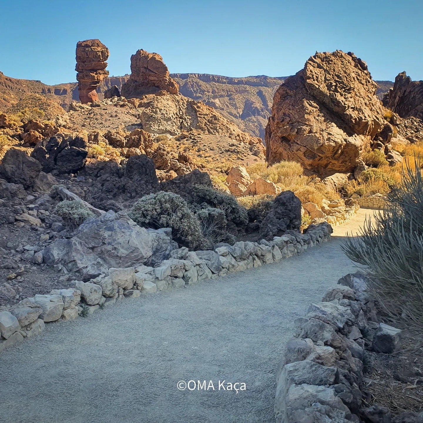 Teide National Park Visit